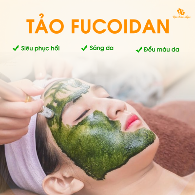 cay-tao-fu-spa-bich-ngoc